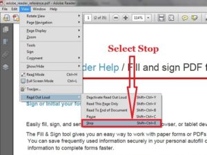 How to Make Your Adobe Reader Read Your PDF Document